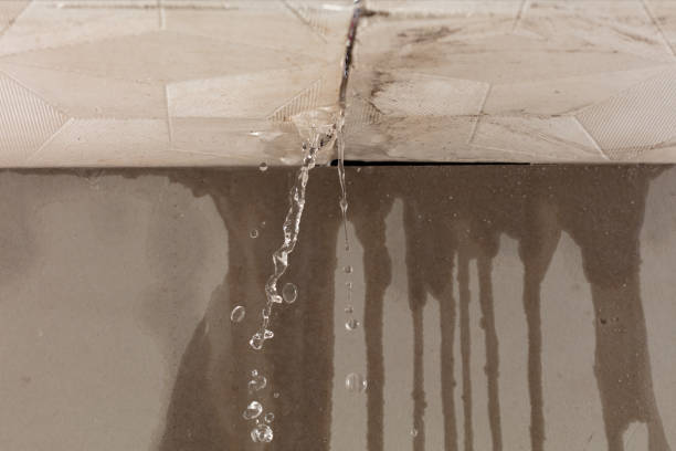 Professional Burst Pipe Cleanup technician working in Gray, LA